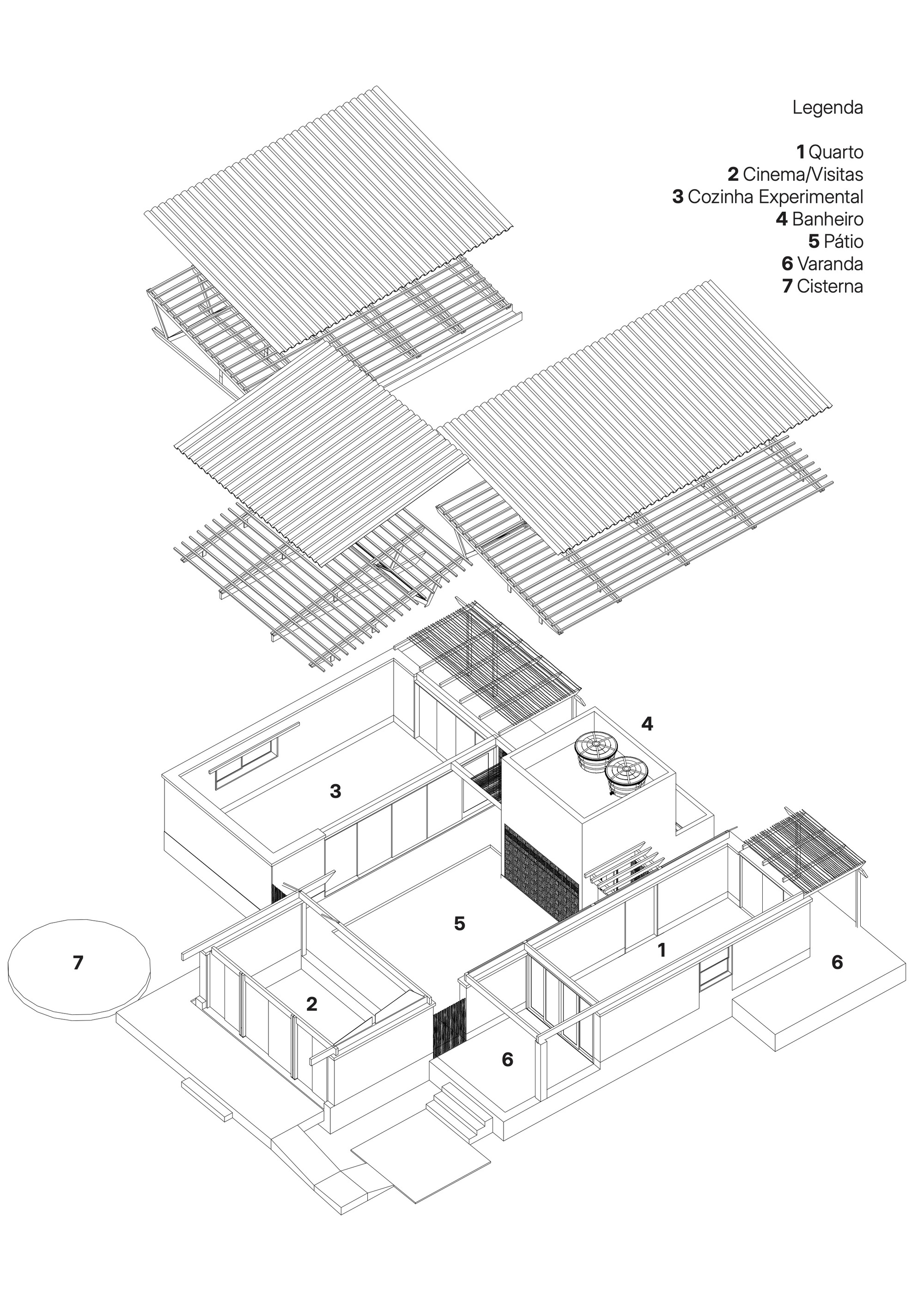 丨巴西伯南布哥丨AzulPitanga-32