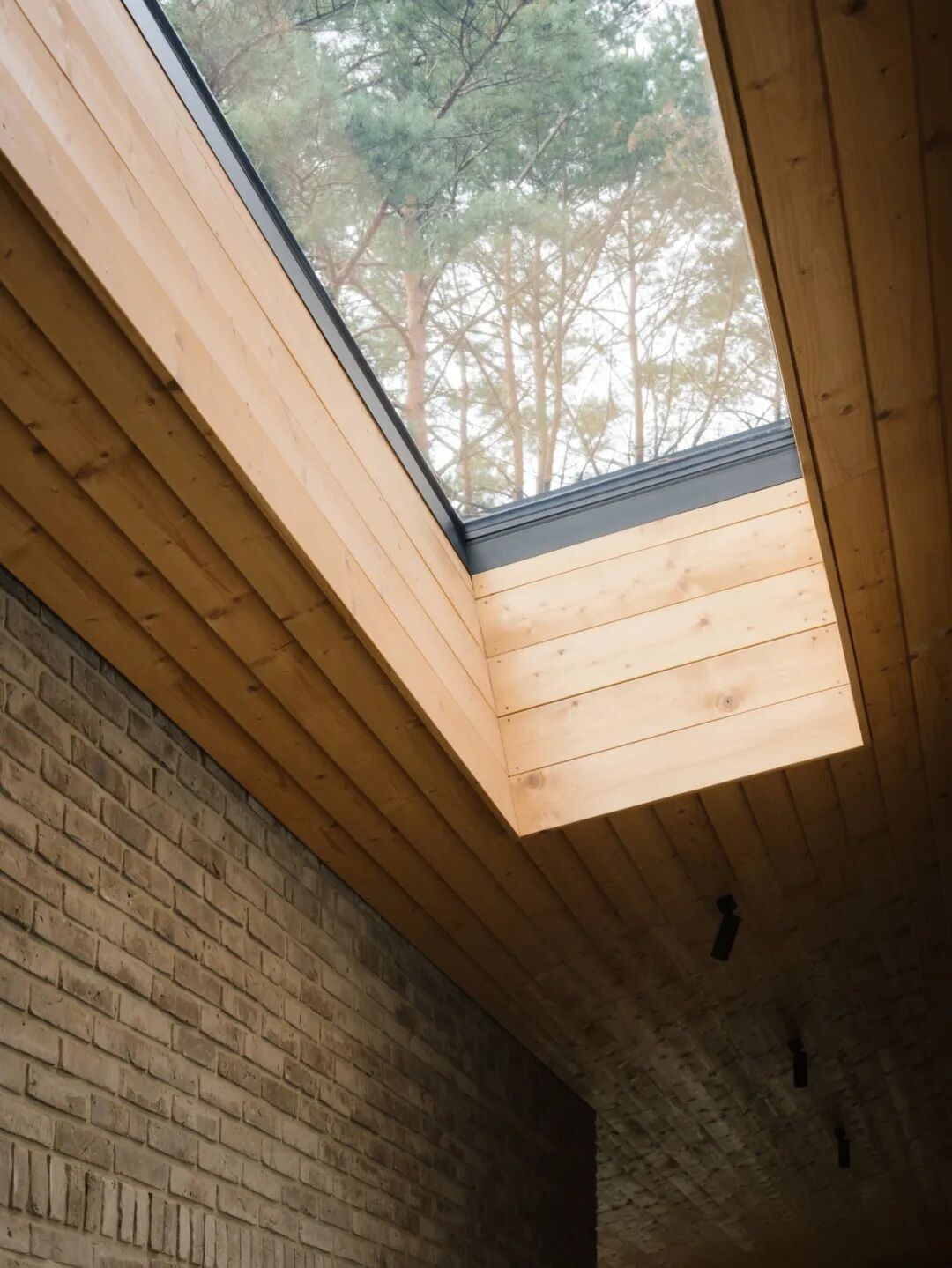 卡萨拉斯玛格丽塔斯公寓(Casa常见指房子、公寓等,由于缺乏更多背景信息,一般以公寓来常见处理,但根据具体场景这里也可能表示其他场所;Las Margaritas音译过来是拉斯玛格丽塔斯 ,它可能是具体的人名、地名等,可根据实际情况进一步确认指代对象及更合适的译法,如果是酒店、度假村等也可纠正信息重新让我翻译 )丨哥伦比亚丨Trópico Arquitectura-51