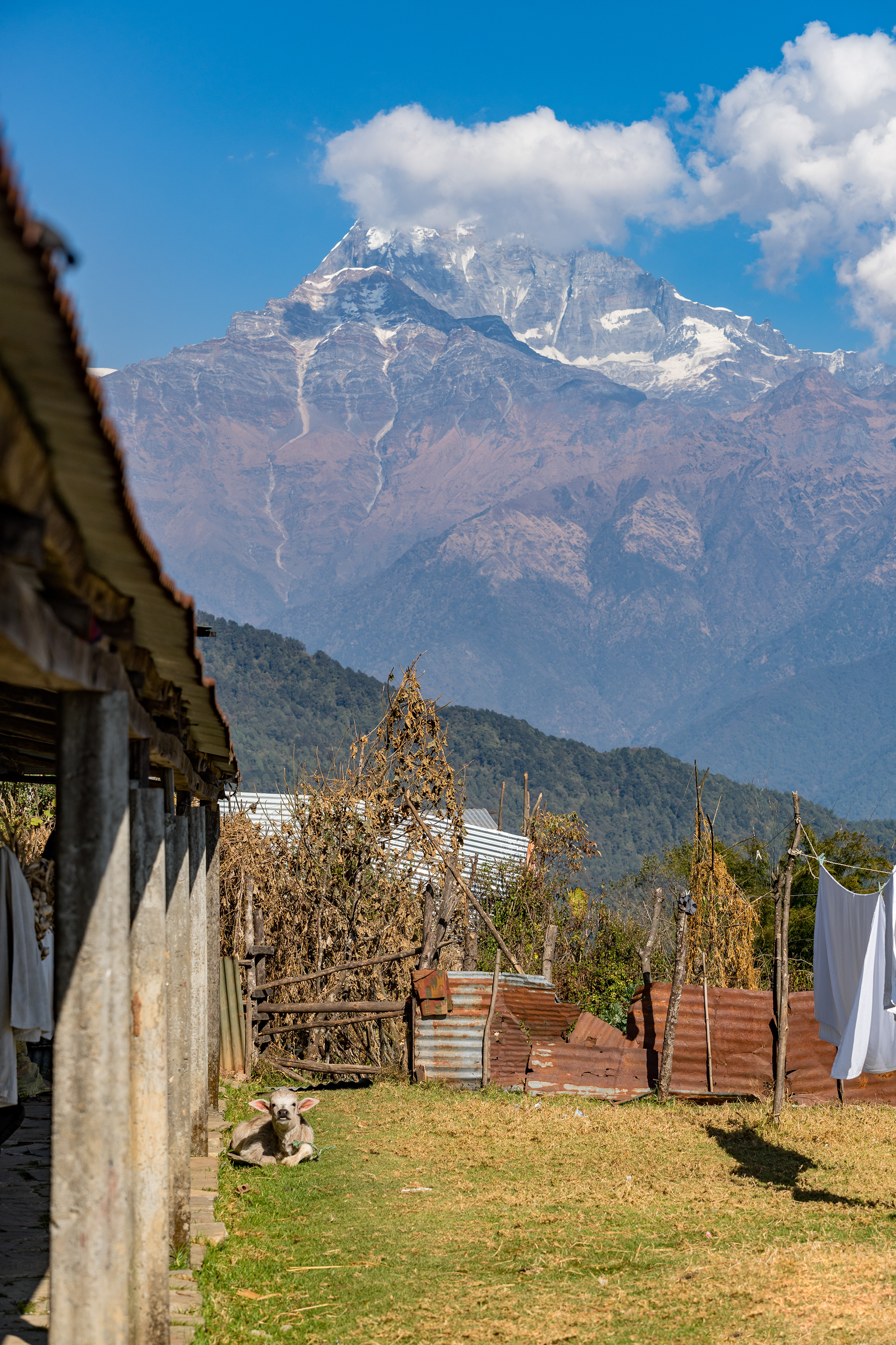 博克拉及周边地区丨尼泊尔丨KIRILL TSYBENKO-43