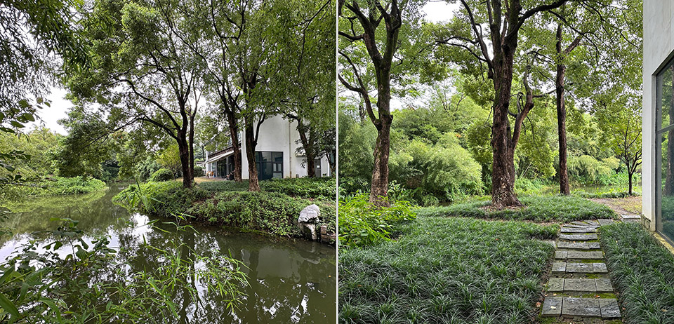 西溪蔡志忠美术馆丨中国杭州丨中国美术学院风景建筑设计研究总院+森上建筑-9