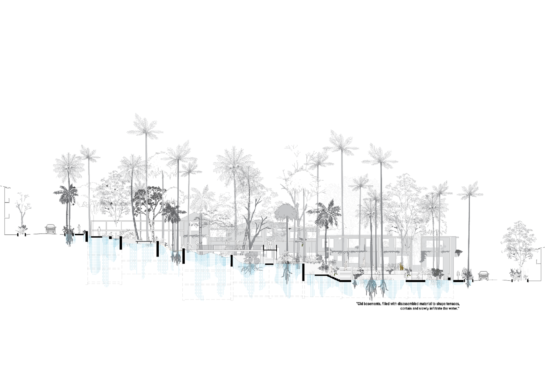 自然的生长花园PRADO PARK / Edgar Mazo-92