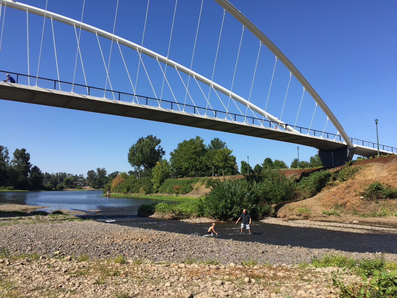 美国彼得·考特尼·明托岛自行车和人行天桥-31