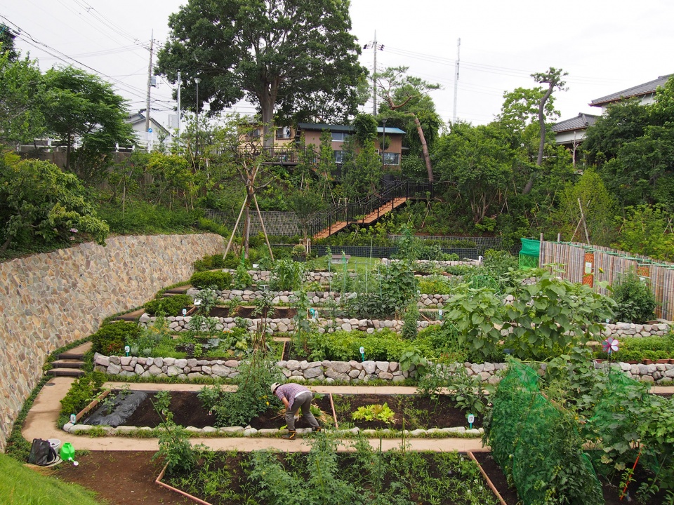 日本横滨南本宿第三公园农园设计丨株式会社户田芳树风景计画-17