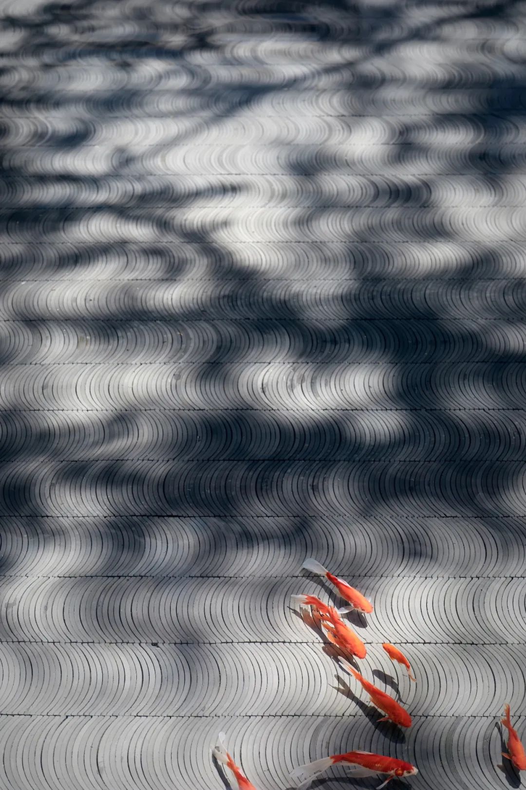 匠王小院丨中国银川-0