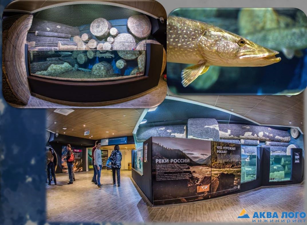 科加雷姆海洋馆“Aquatika”丨Aqua Logo Engineering-35