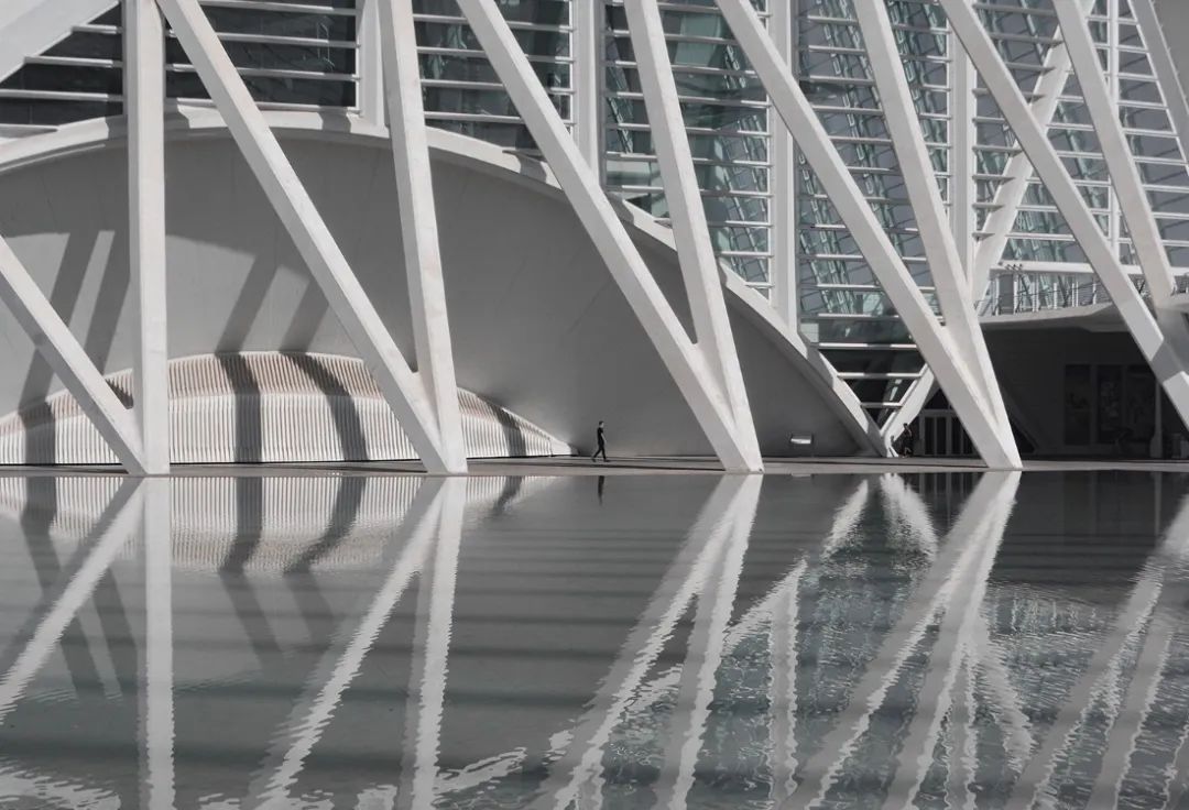 艺术科学之城 | 瓦伦西亚的现代建筑群-78