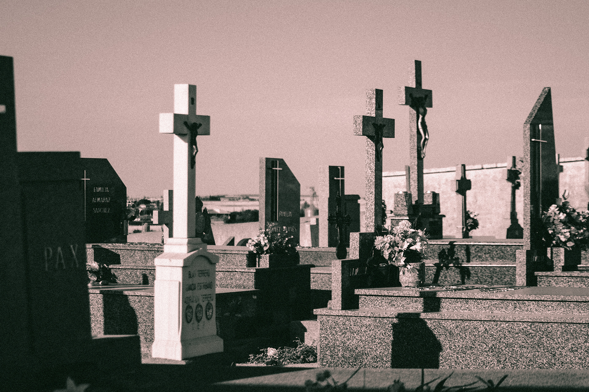 用 86 年的远摄镜头拍摄-10