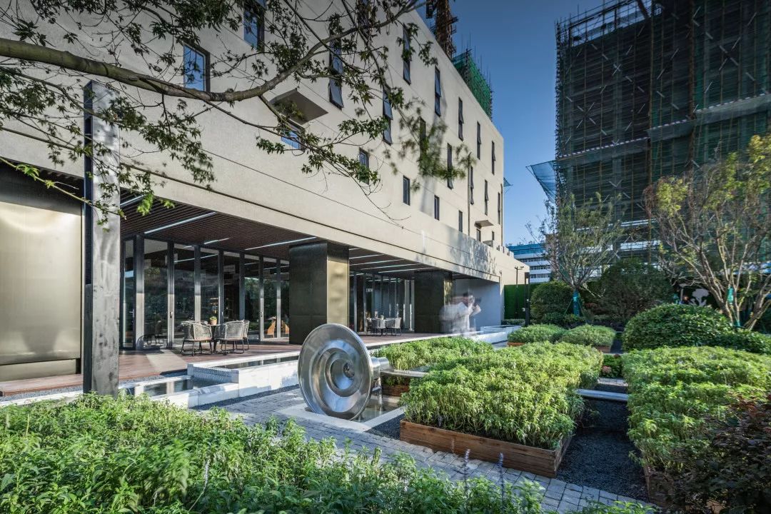 中南蚌埠江山府 | 种下一米菜园，收获心田一亩-99