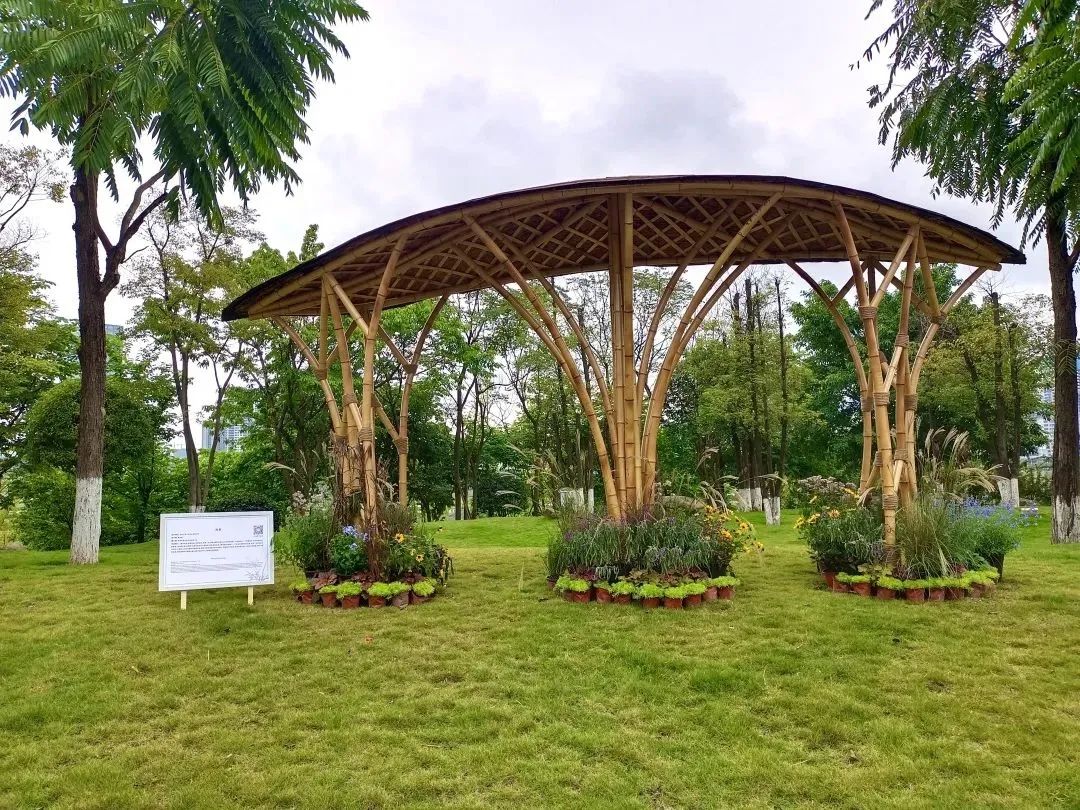 竹境案例|12个竹构花园-22