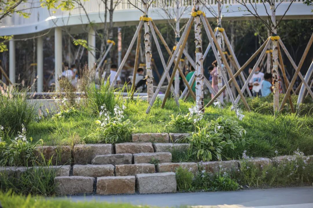 转角遇见暖意，冰城的一抹新绿 万科鲸鱼悦府丨中国哈尔滨丨ZAP ASSOCIATES-51