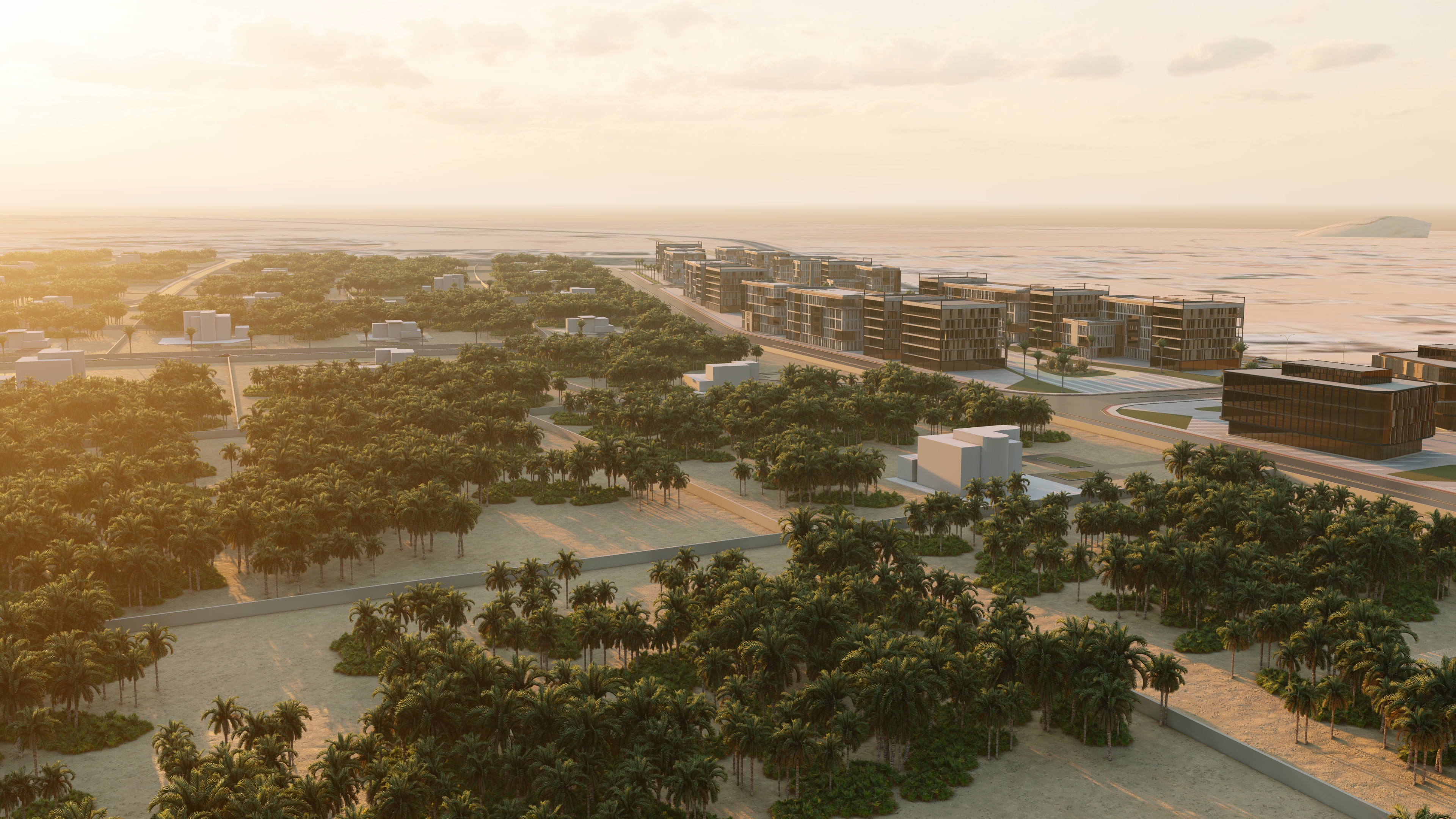 城市规划丨沙特阿拉伯利雅得丨Ray Consultants,Urban Dimensions-8