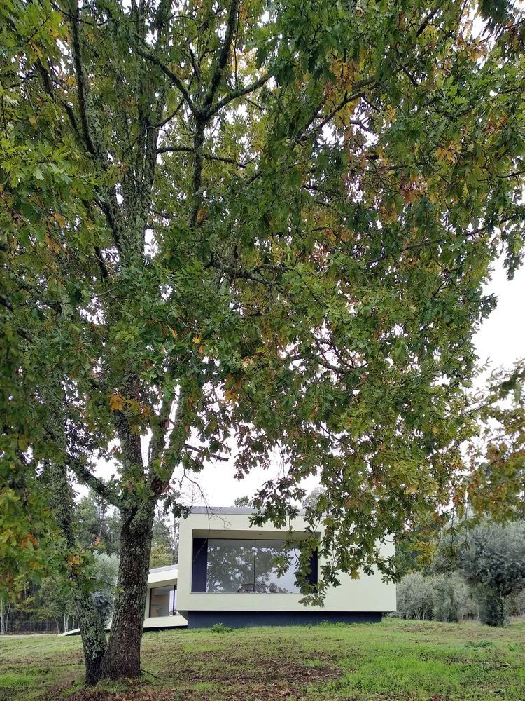 250 m²葡萄牙退休住宅-28