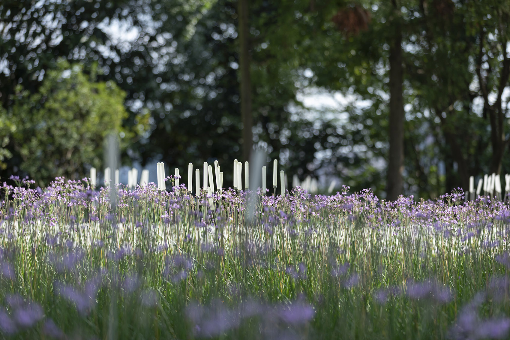 贵州安顺虹山湖市民公园-30