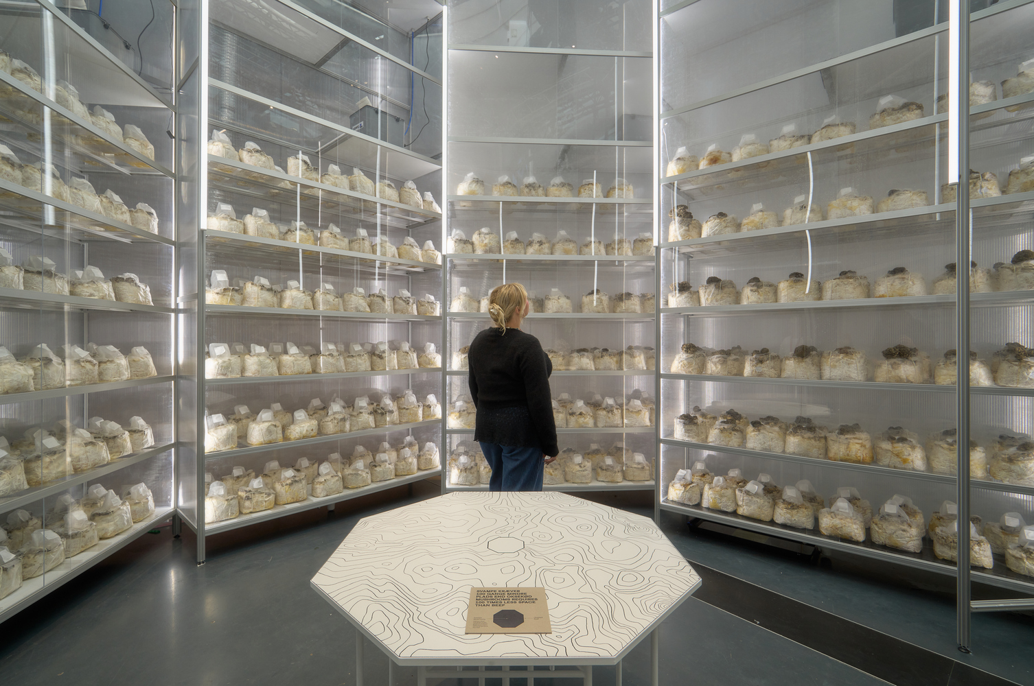 “Age of Nature”展览丨丹麦-12