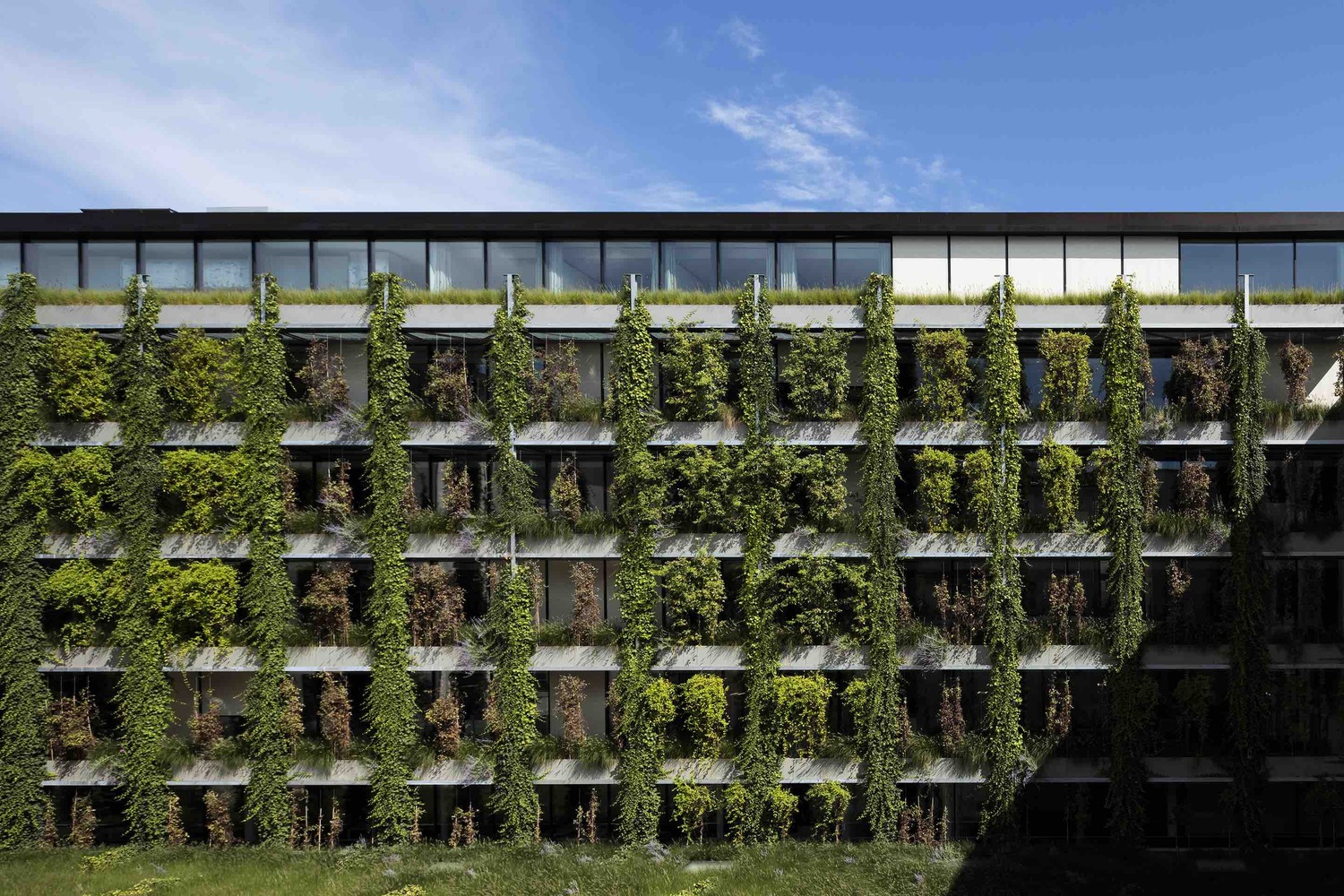 瑞银历史建筑的现代重生——Rhône 8 项目-36