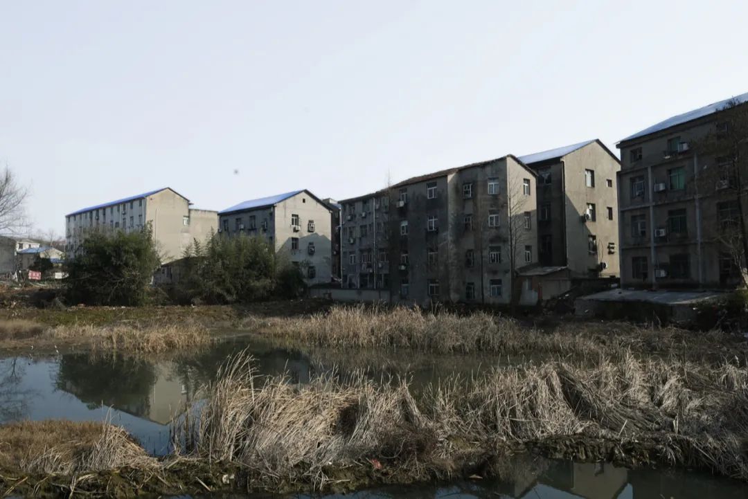 陈海峰  影像纪实 / 东湖之上-28