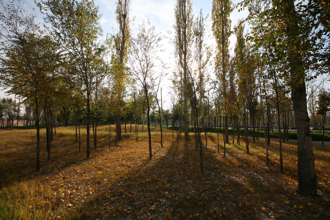 新疆博乐人民公园改造设计(C,D,F地块)-7