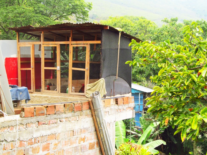 “La Vieja”学校建筑丨哥伦比亚丨Andrés Bäppler & Greta Tresserra-57