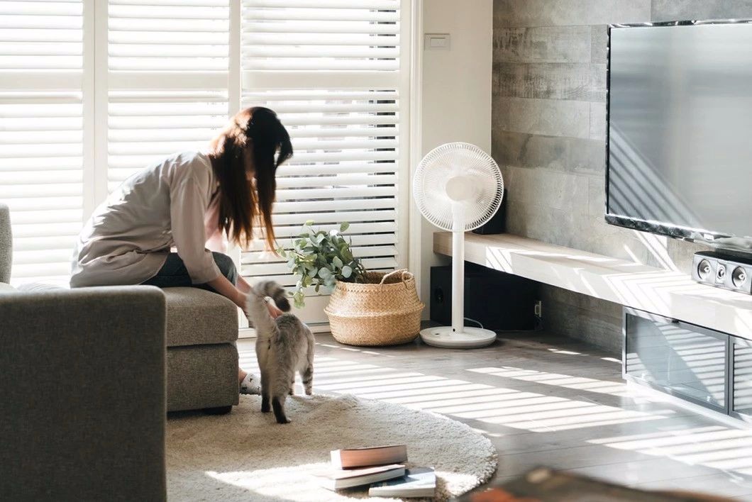 猫奴专属家居设计,打造猫咪欢乐空间-16