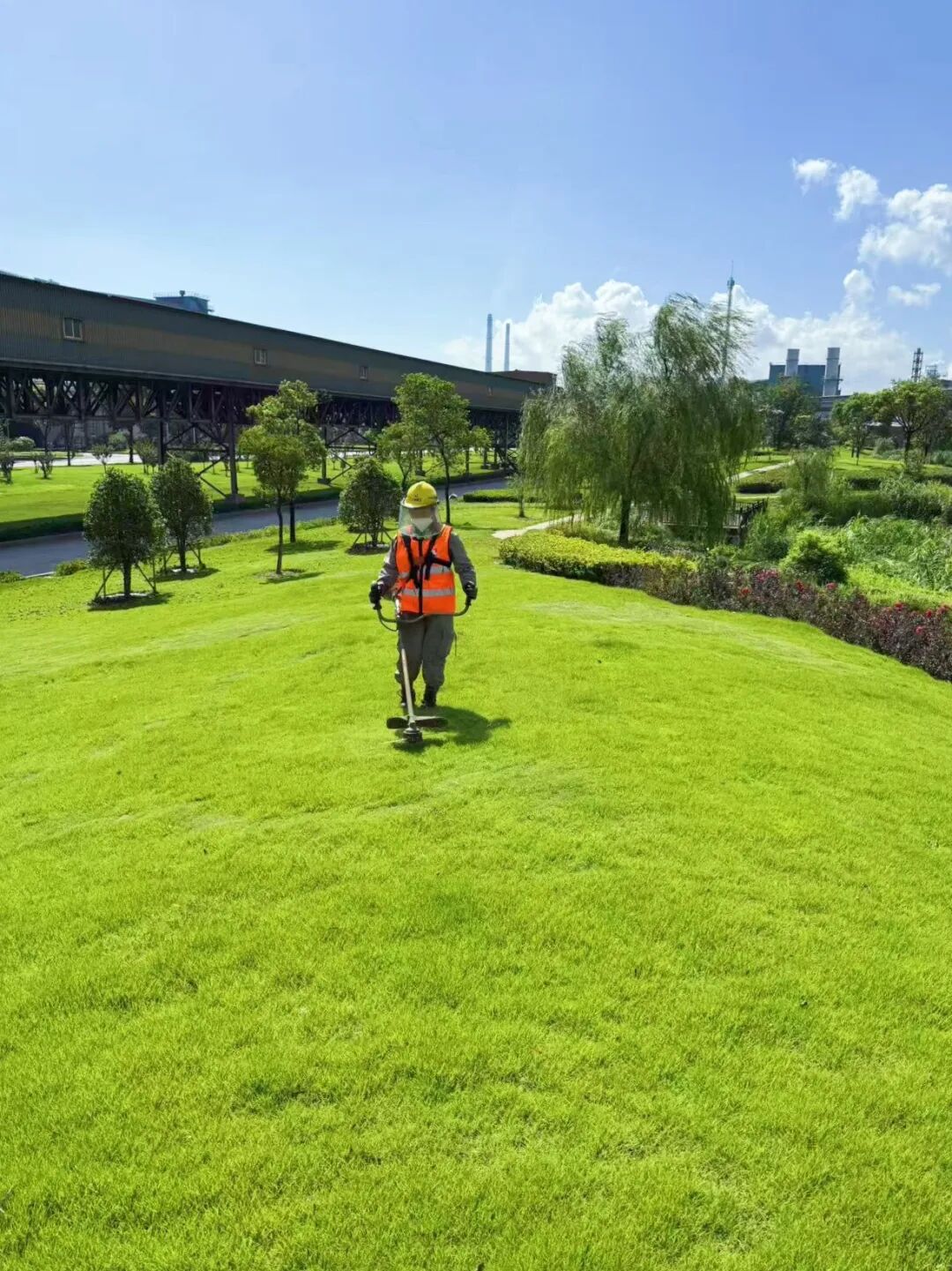 绿化养护｜“智”护钢铁绿洲：宝钢宝山基地的绿色呼吸由我们来守护-155