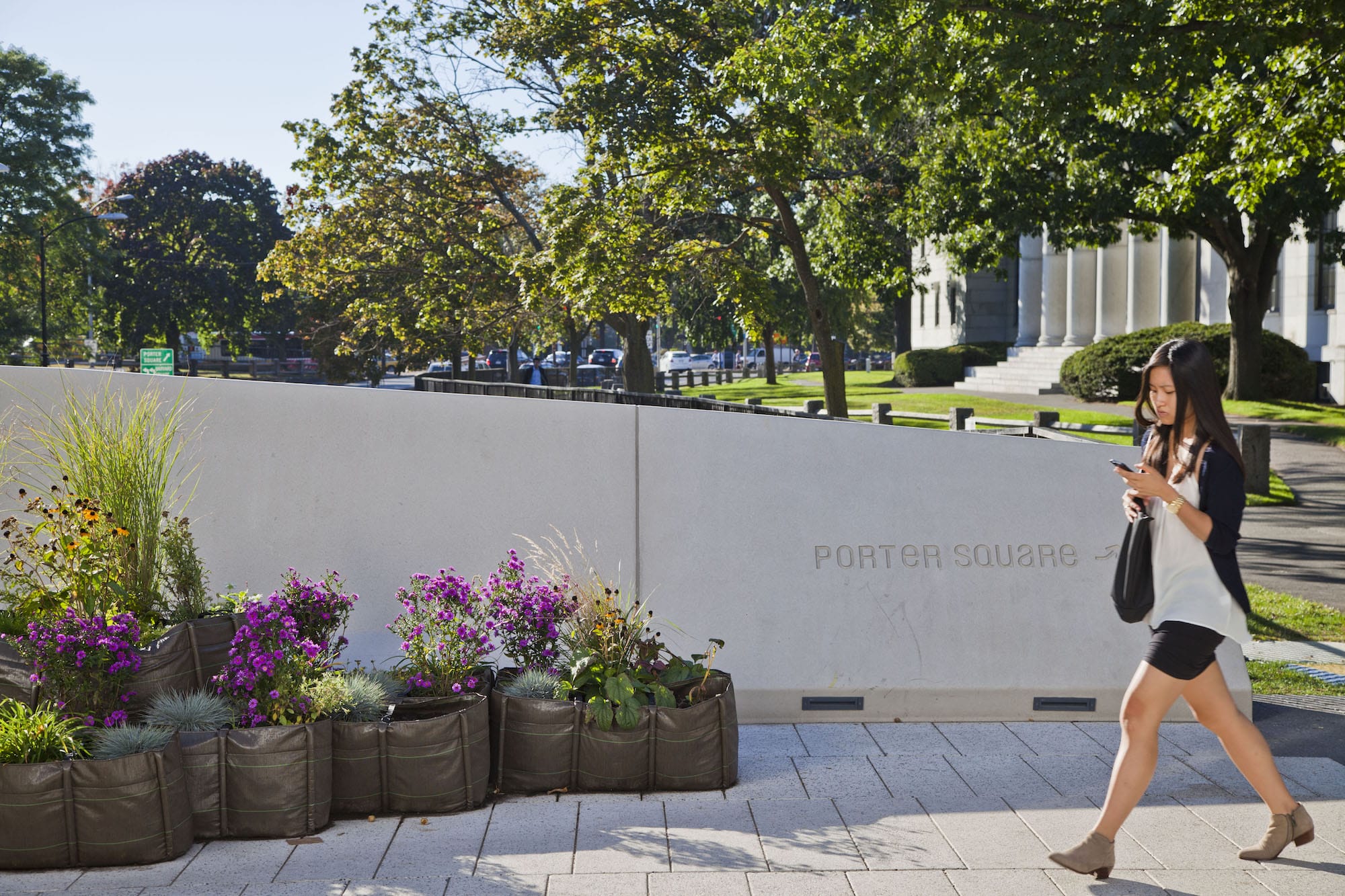 哈佛大学广场（Harvard University Plaza）-8