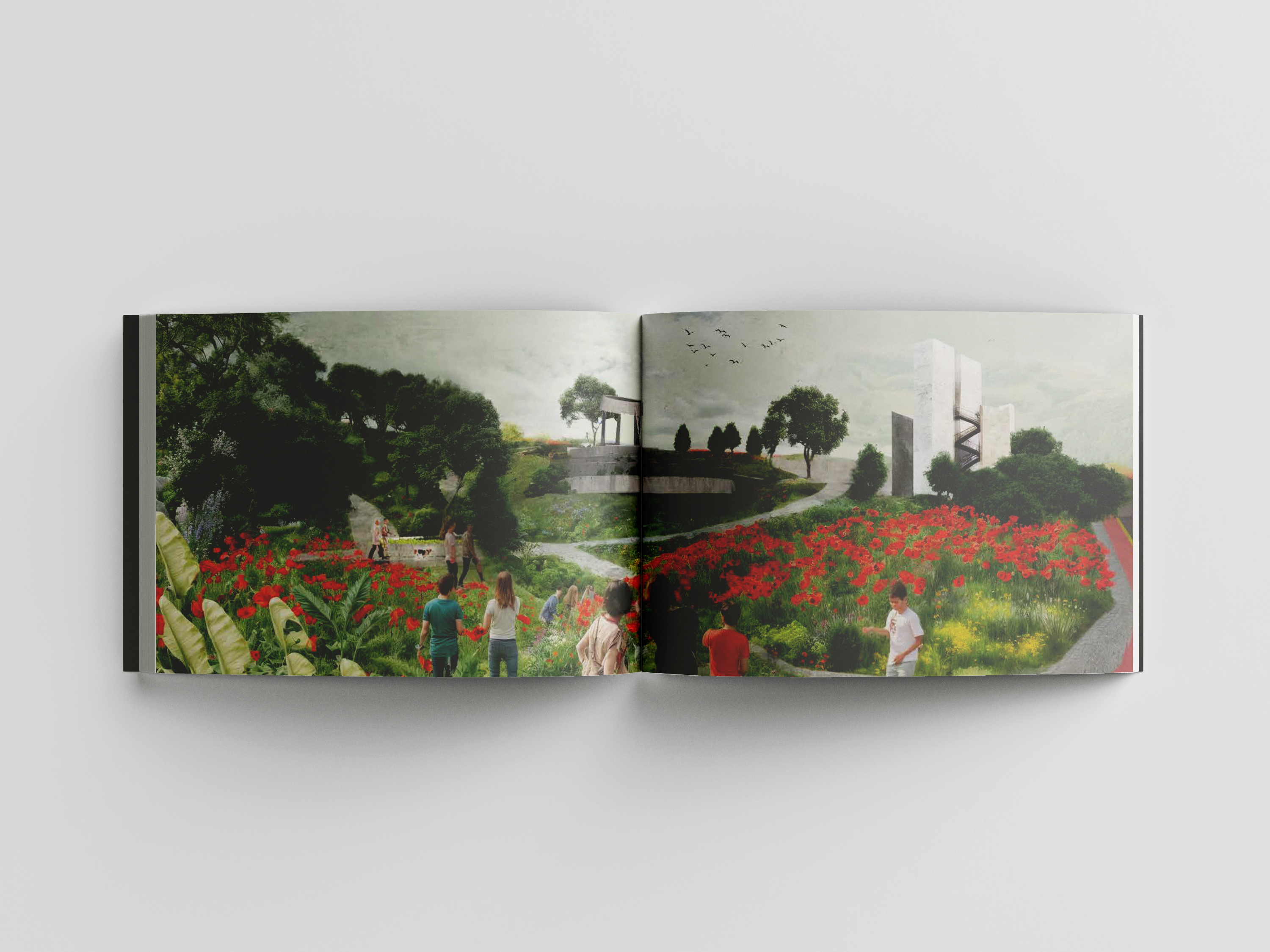 Portafolio Arquitectura - FLAG-13