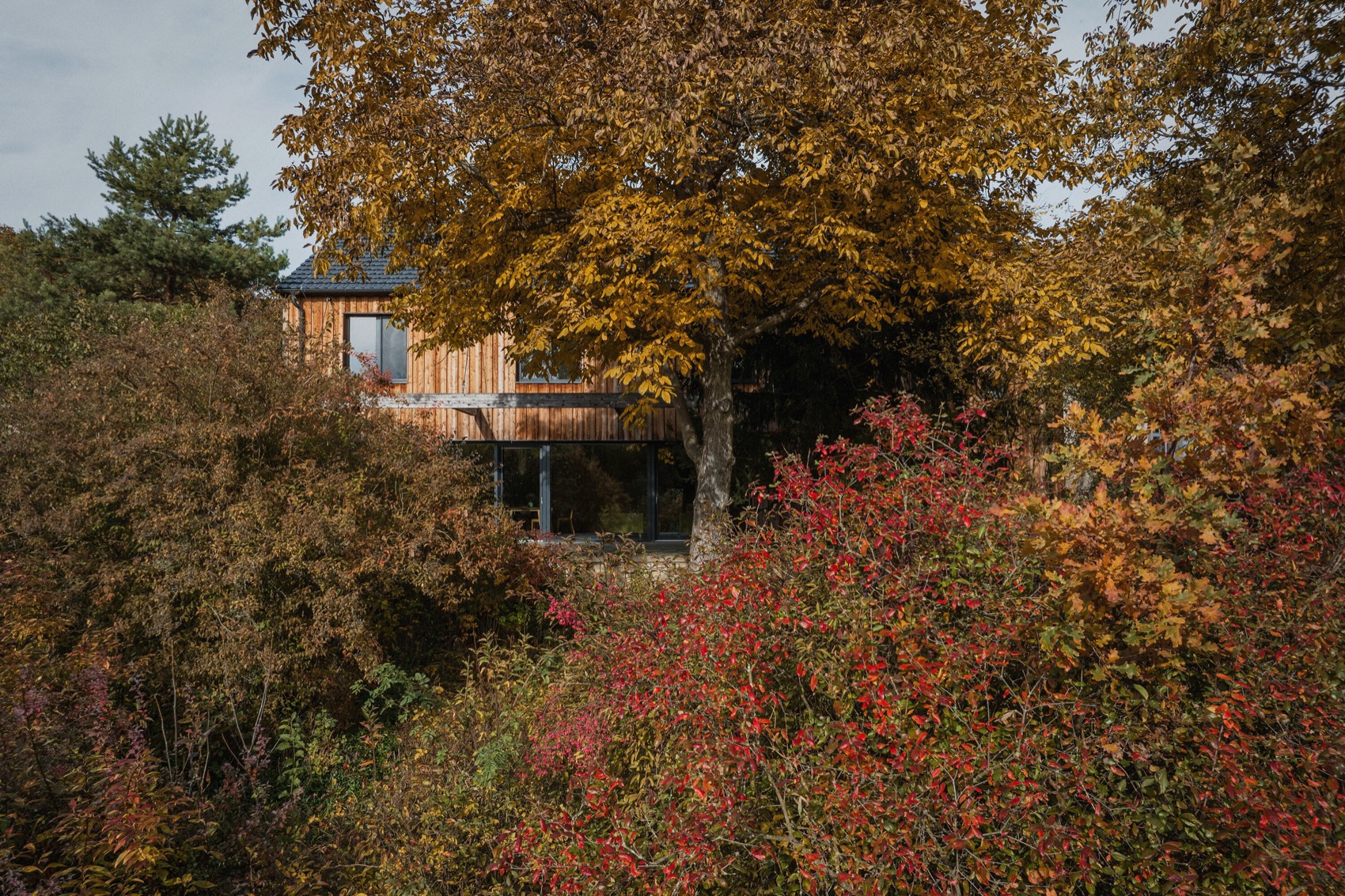 花园中的家庭住宅丨捷克丨Mimosa Architects-5