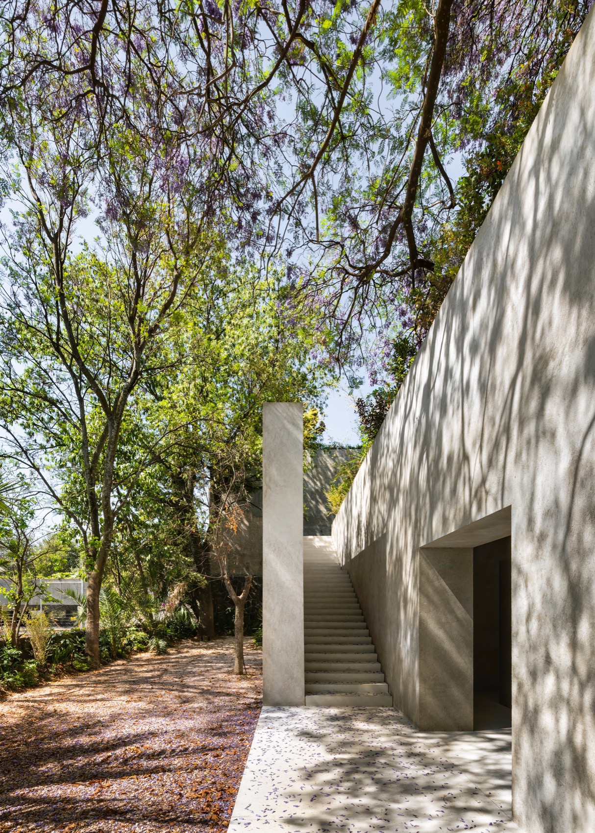 瑞士驻墨西哥大使住宅丨墨西哥墨西哥城-19