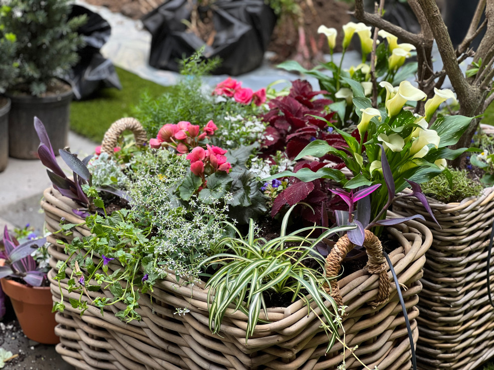 Brooklyn Heights reno-12