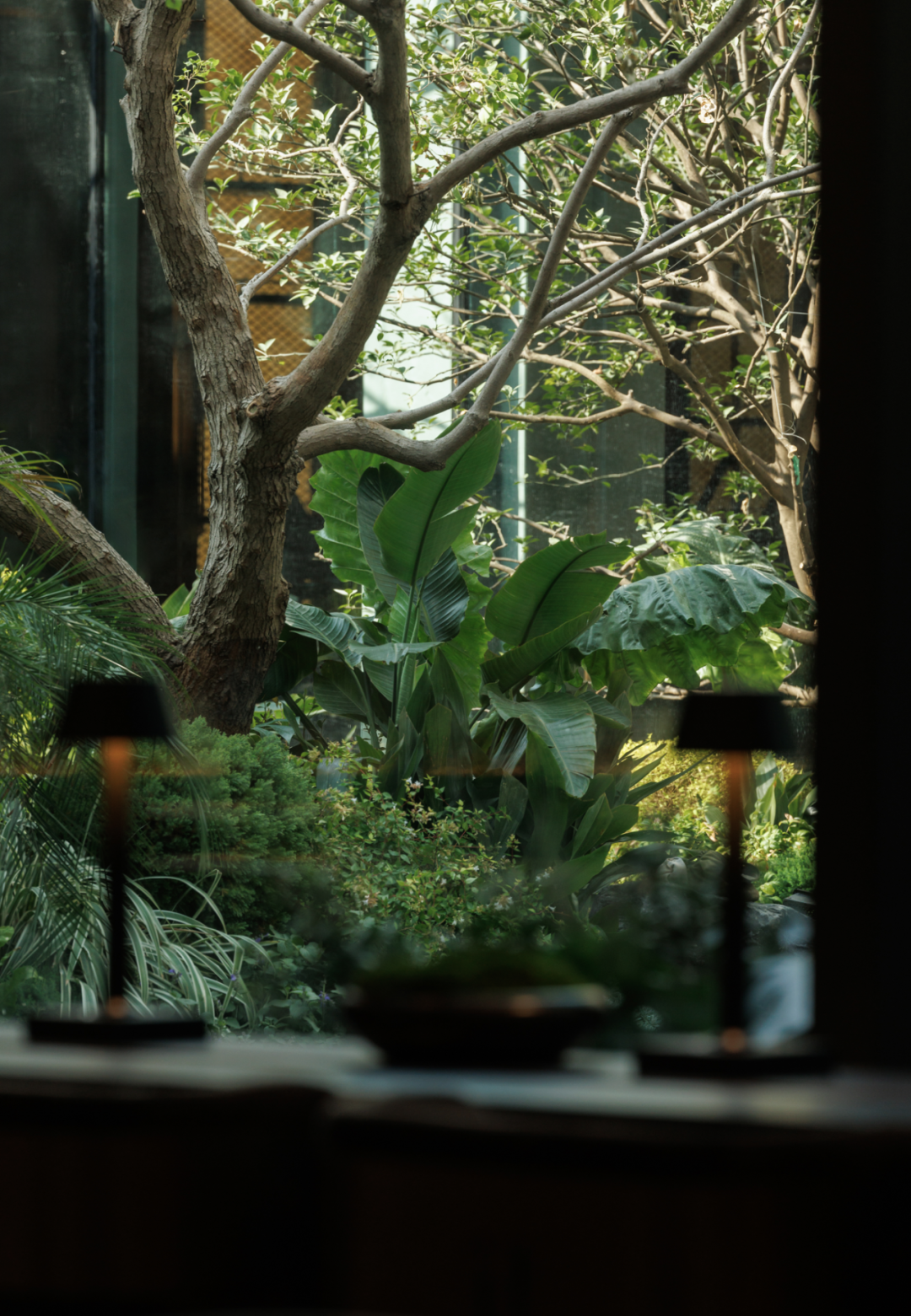 入庭而栖 拾光归屿 | 武汉·天创云和樾-64