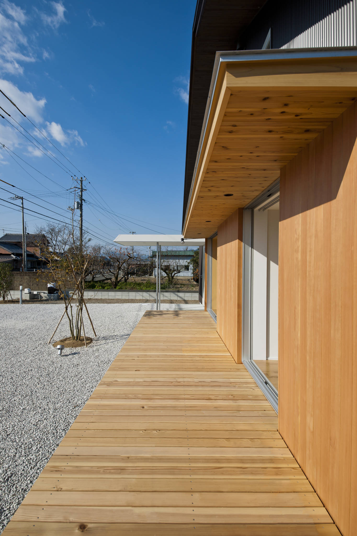 Totoro（托托罗）-6