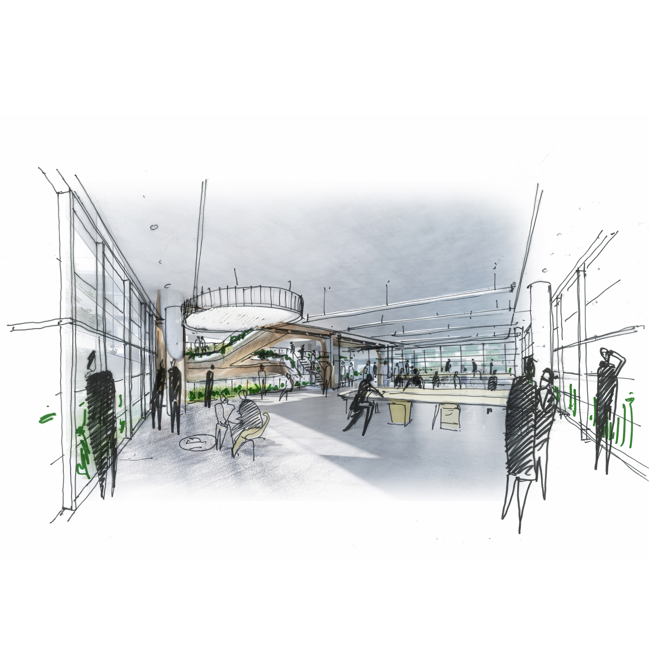 SCGZero+ · 打造中国首个“5Zero”绿色办公建筑丨deciBel(Architecture)))-16