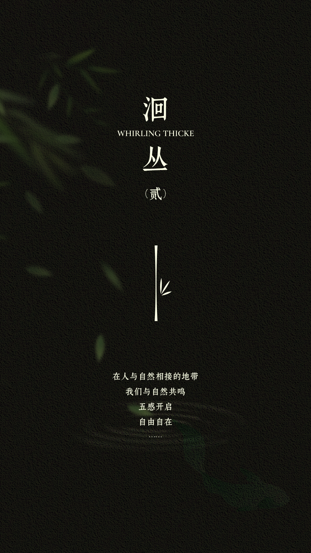 新作 自然之下的无界洄游丨紫香舸-17