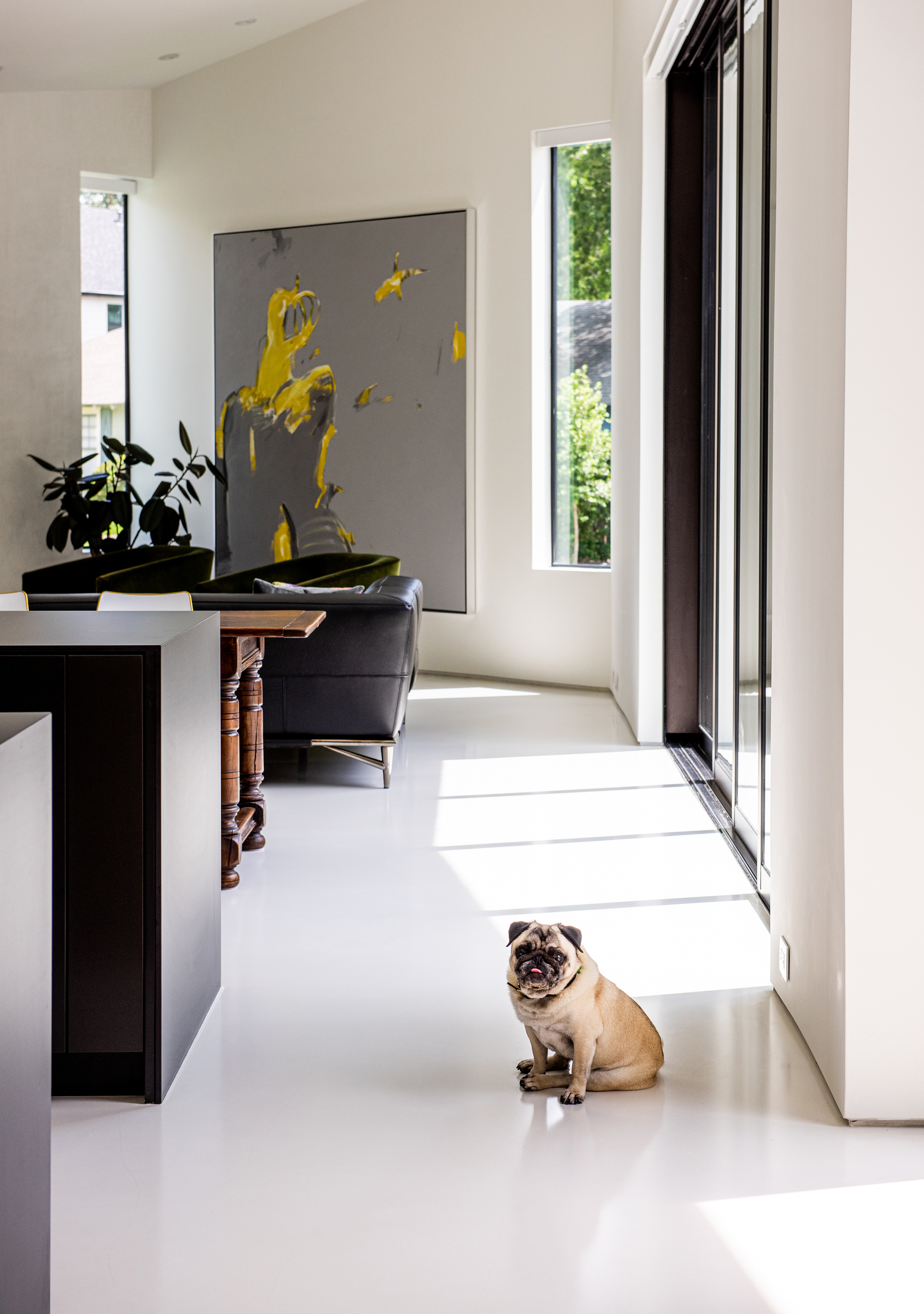 3 边缘住宅丨United StatesDallas丨FAR + DANG-28