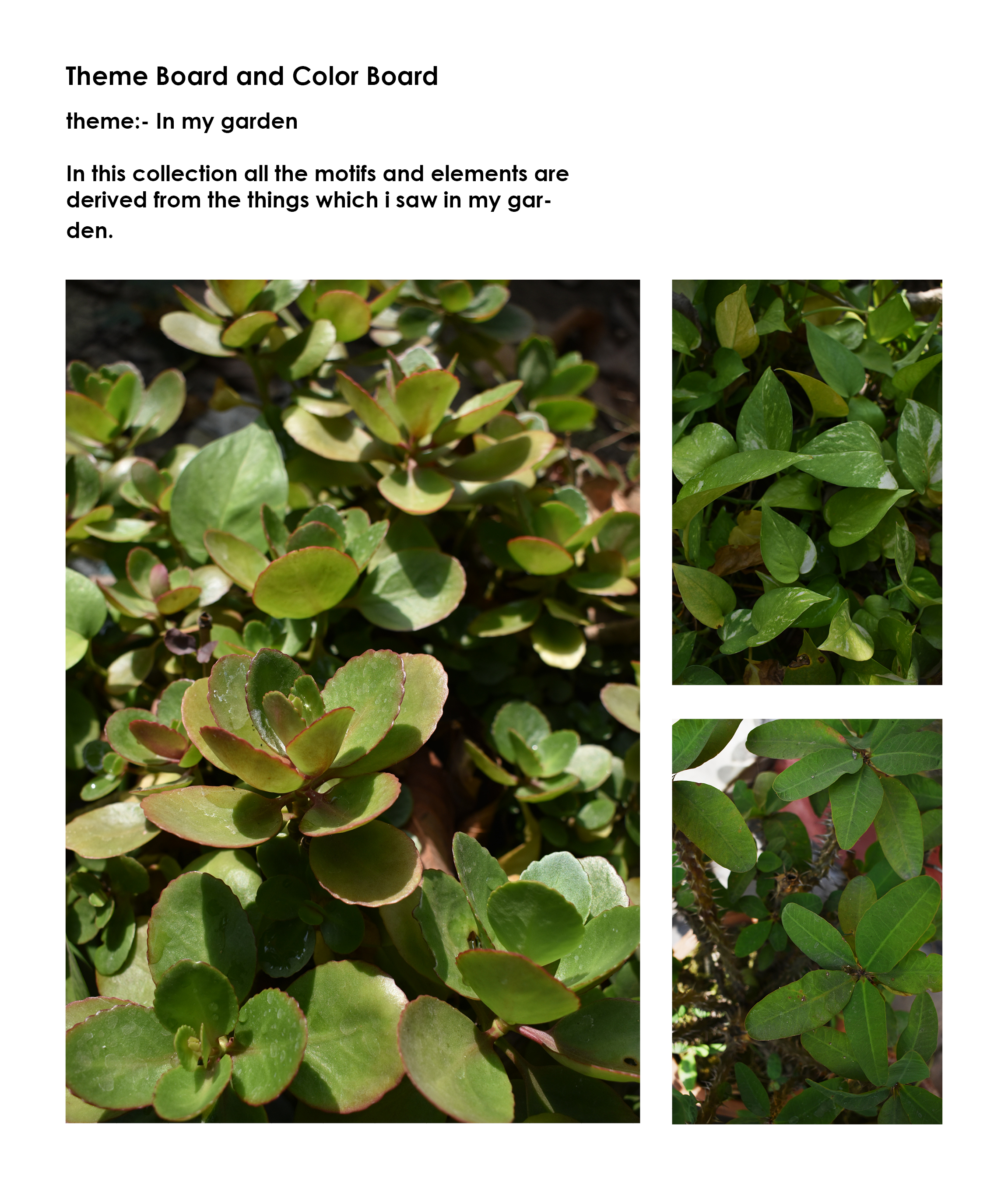 Eco printed (Home Collection)-7