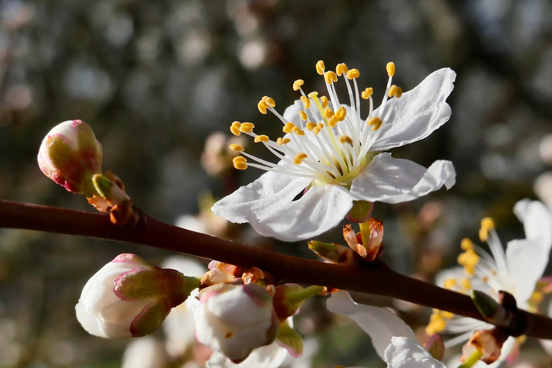2026年复活节之旅-7