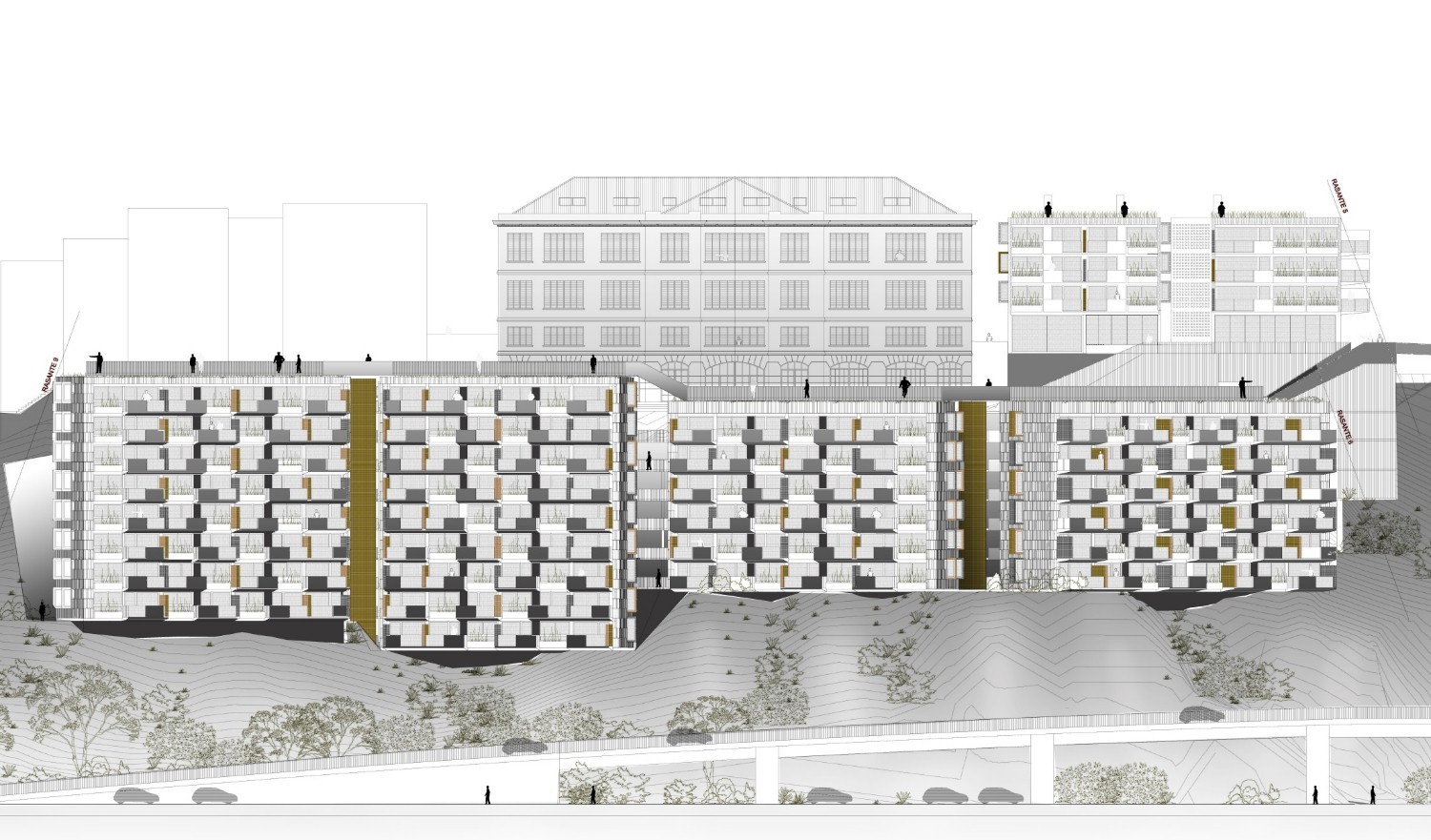 Mirador Barón 大楼丨智利丨Mathias Klotz-49