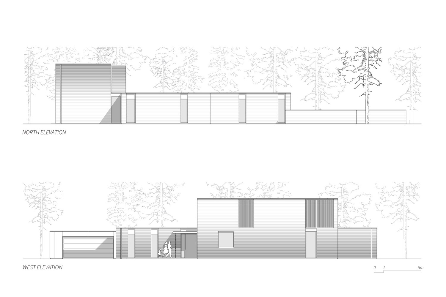 维拉·坦尼斯韦根-45