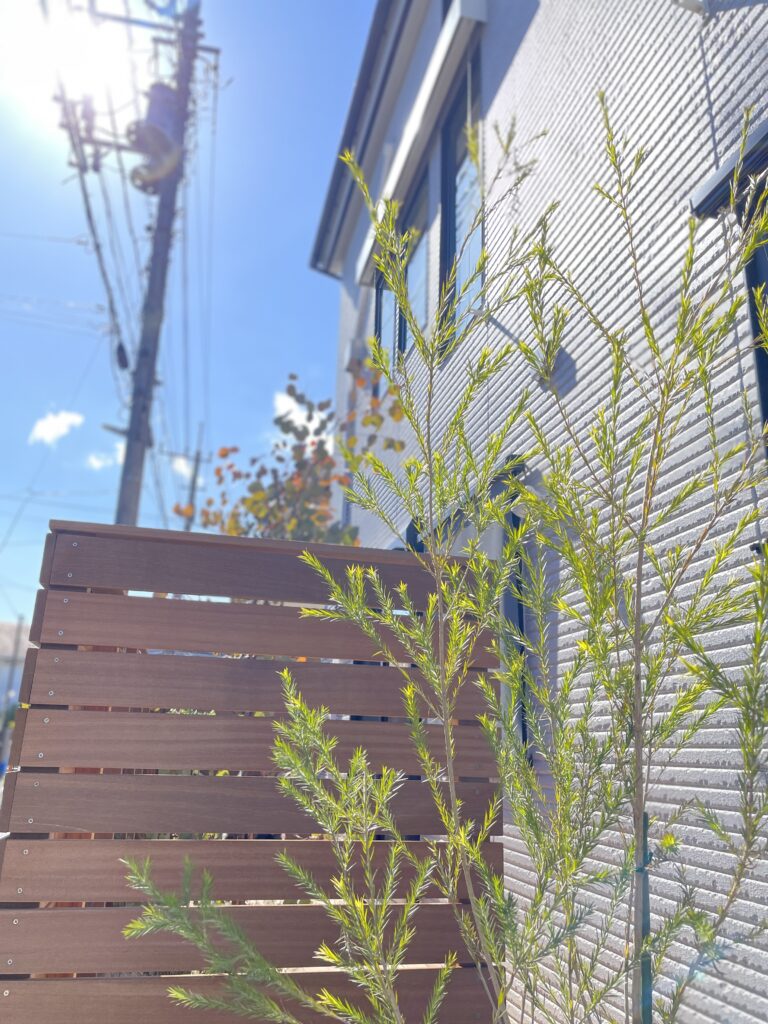 杉並区的木工庭院项目-6