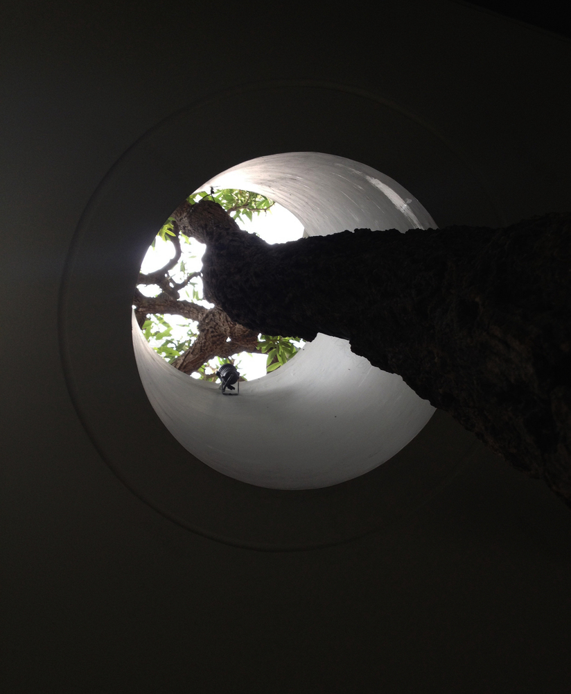 ‘S’ HOUSE Simple Projects Architecture-73