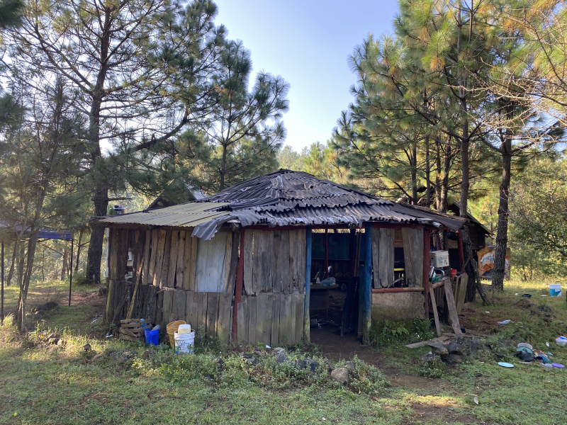 丨墨西哥丨未明确提及-38