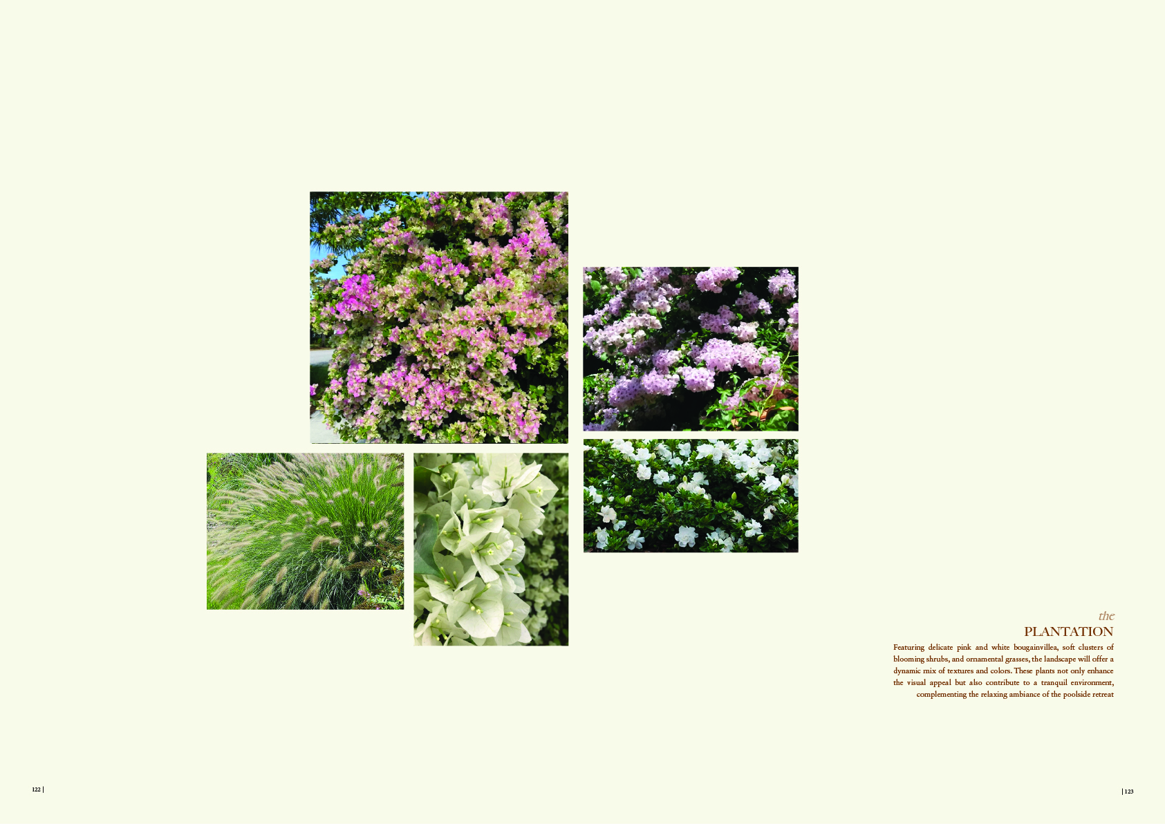 酒店景观丨印度尼西亚巴厘丨作者与同事Narindra,Ayu-30