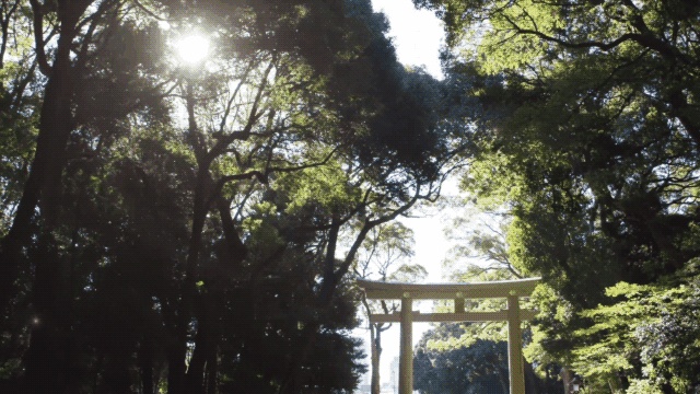 东京宝格丽酒店丨日本东京-3