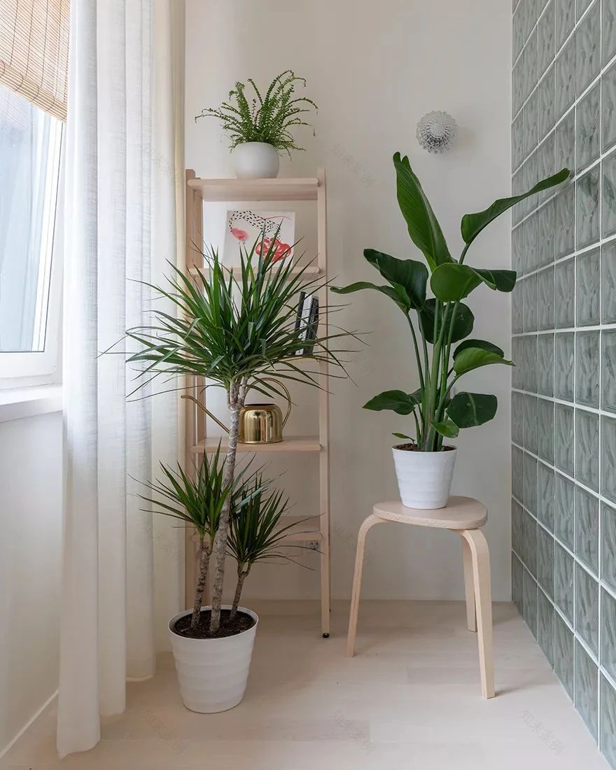 40㎡玻璃砖小宅丨Tatyana Ponomareva 和 Olga Elizarova-12