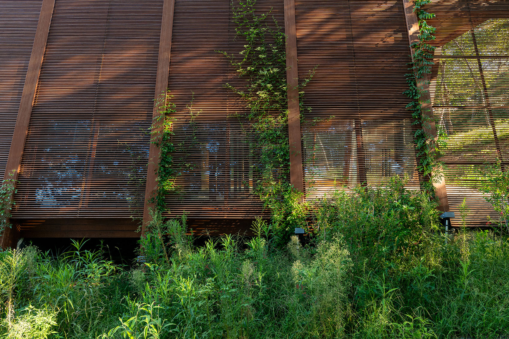 知识之屋丨中国信阳丨Christoph Hesse Architects-24