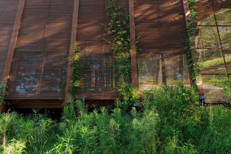 知识之屋丨中国信阳丨Christoph Hesse Architects-24