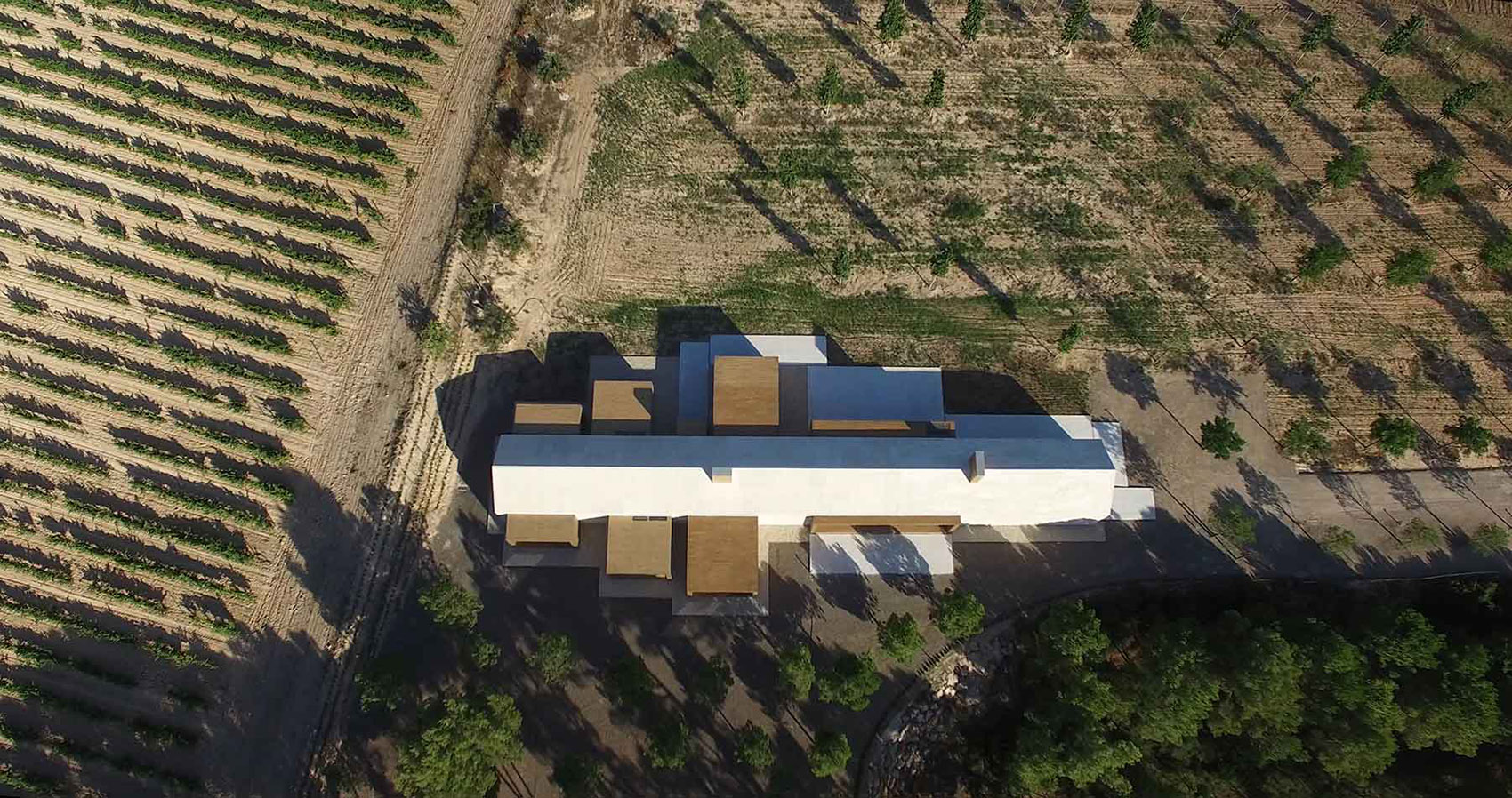 葡萄园小木屋，西班牙 / Ramón Esteve Estudio-67