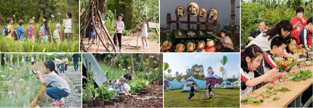 集团要闻丨庐山国家植物园建设项目获业主方高度赞扬-105