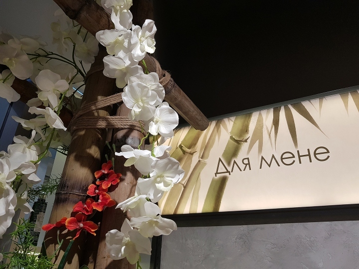 乌克兰 ISEI 美容店_自然氛围中的亚洲风格-30