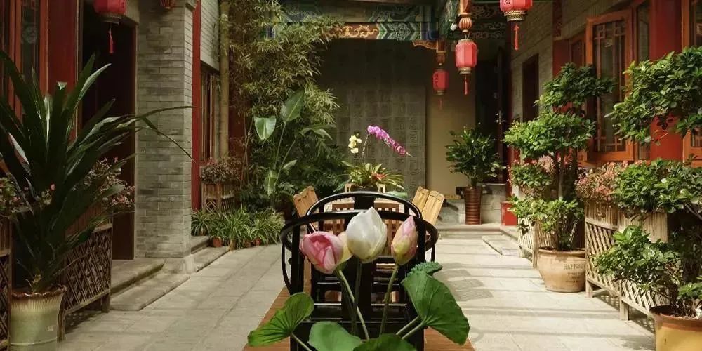 院落生活 | 诗与远方的完美结合-61